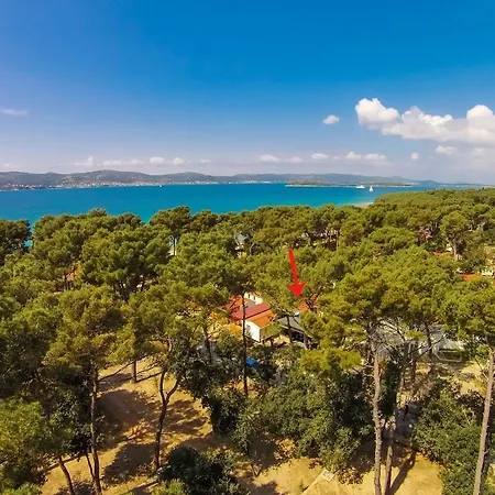 Mobile Biograd - Soline